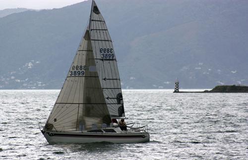Black Mamba - Daryl McGee - 2014 Lidgard Sails Evans Bay Regatta © Evans Bay Website